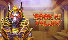 Игровой автомат Book of the Fallen